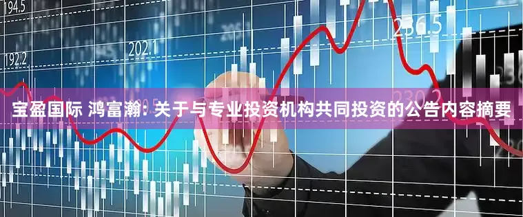 宝盈国际 鸿富瀚: 关于与专业投资机构共同投资的公告内容摘要