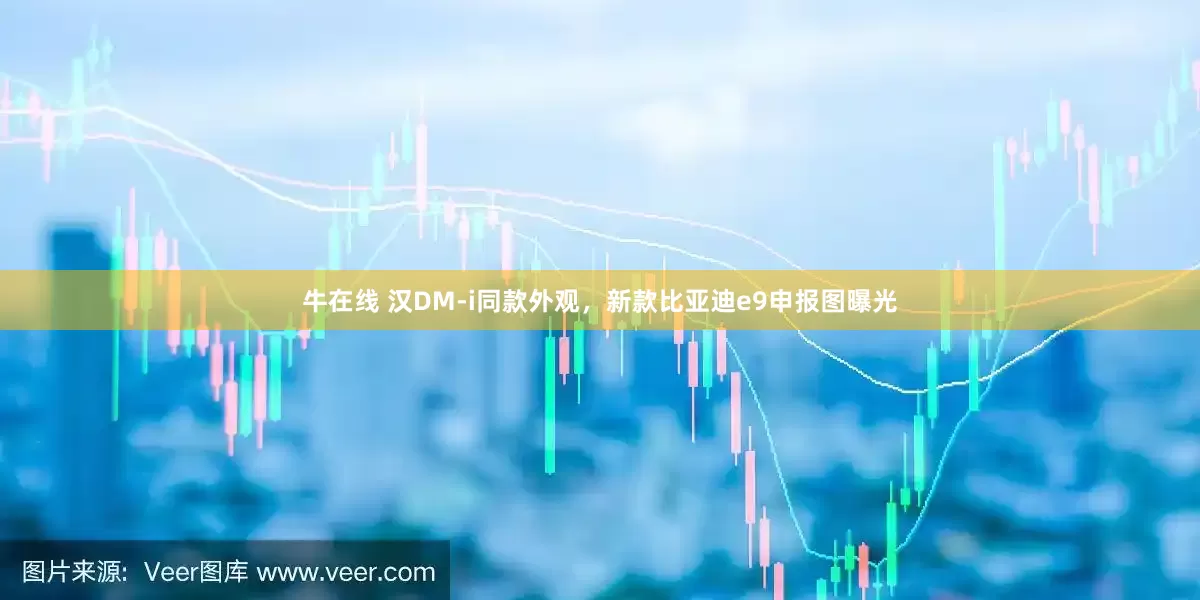 牛在线 汉DM-i同款外观，新款比亚迪e9申报图曝光