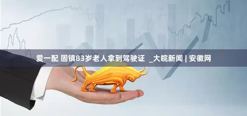 爱一配 固镇83岁老人拿到驾驶证  _大皖新闻 | 安徽网
