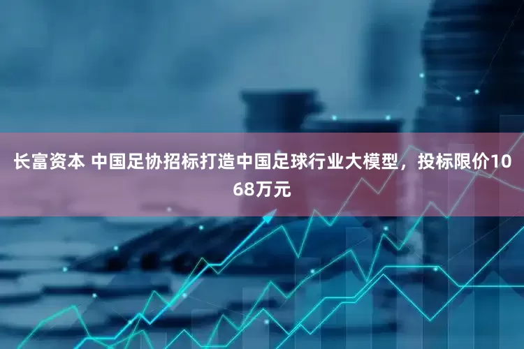长富资本 中国足协招标打造中国足球行业大模型，投标限价1068万元