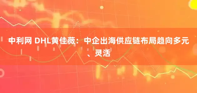 中利网 DHL黄佳薇：中企出海供应链布局趋向多元、灵活