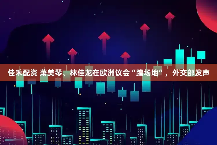佳禾配资 萧美琴、林佳龙在欧洲议会“蹭场地”，外交部发声