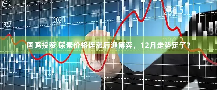 国鸣投资 尿素价格连涨后迎博弈，12月走势定了？